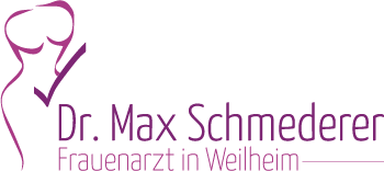 Schmederer Logo